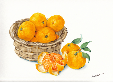 mandarin oranges.jpg